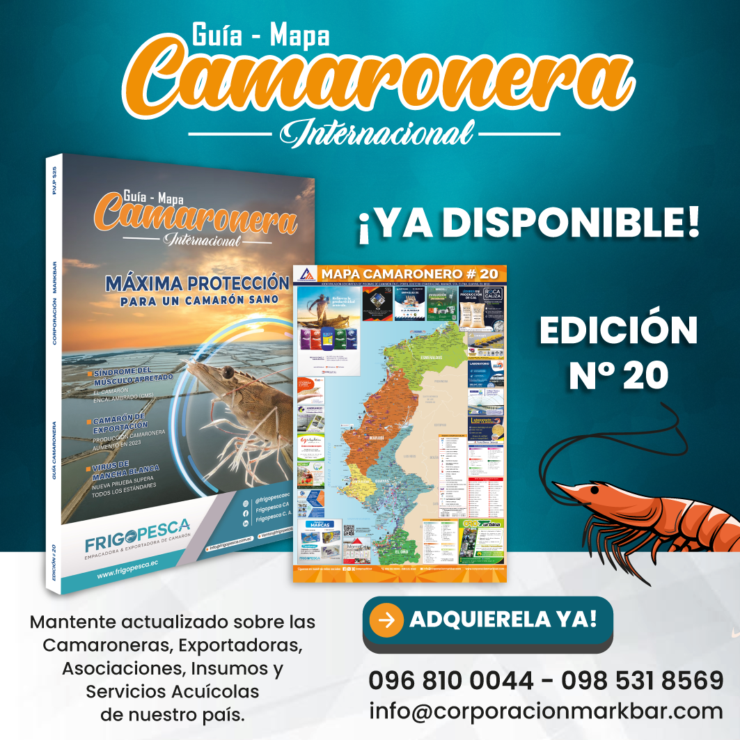 revista, camaron, corpmarkbar, guia, mapa